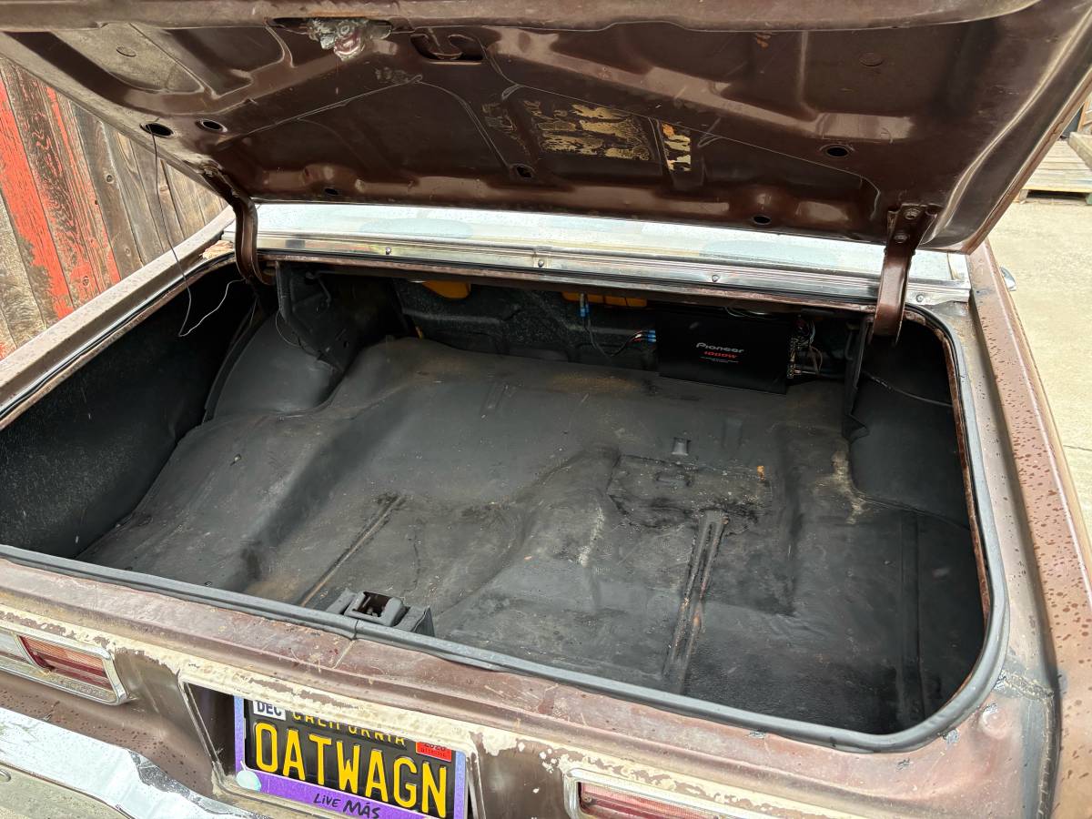 Oldsmobile-1973-brown-5