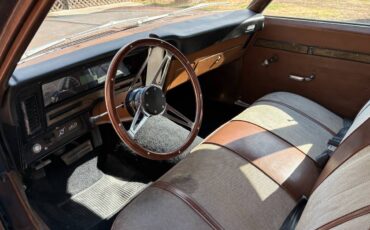 Oldsmobile-1973-brown-6