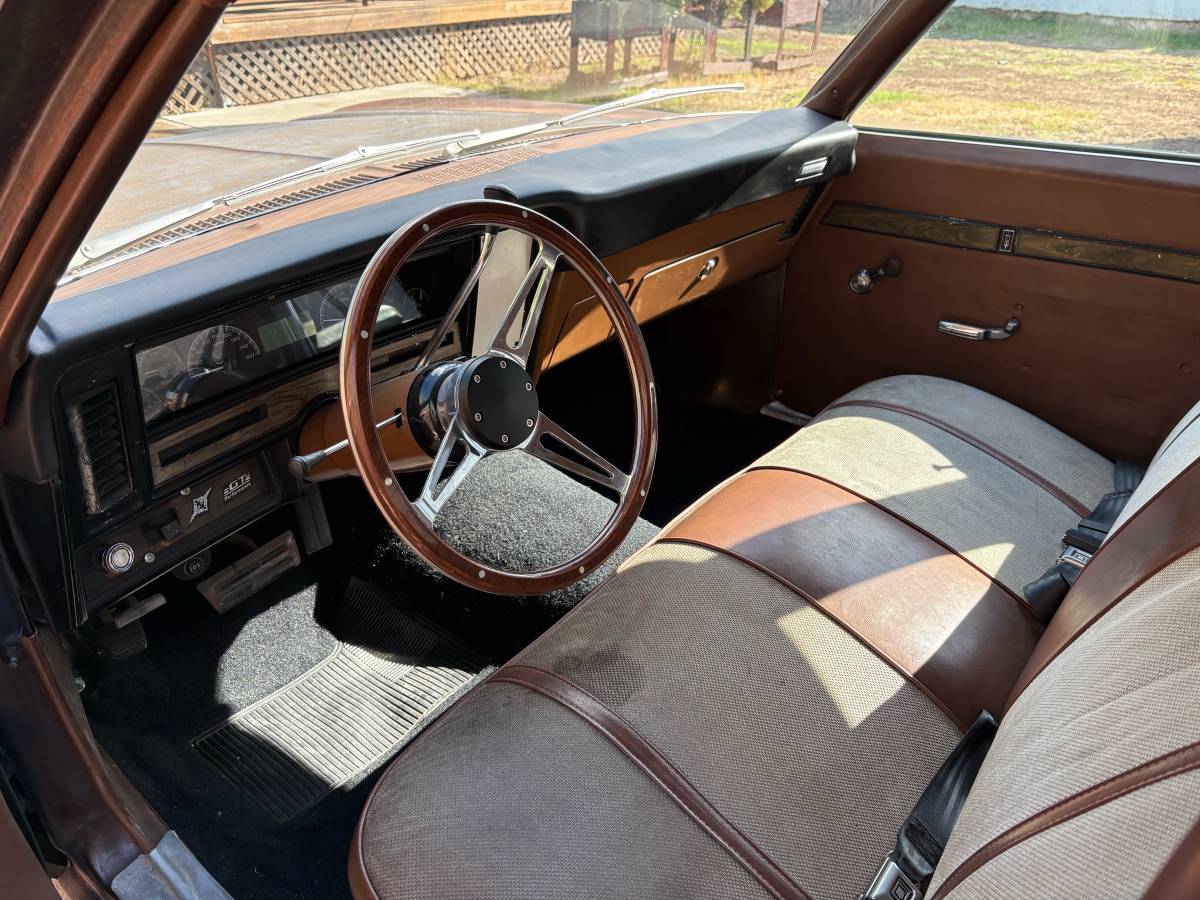 Oldsmobile-1973-brown-6
