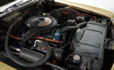 Oldsmobile-98-1970-Gold-Gold-13