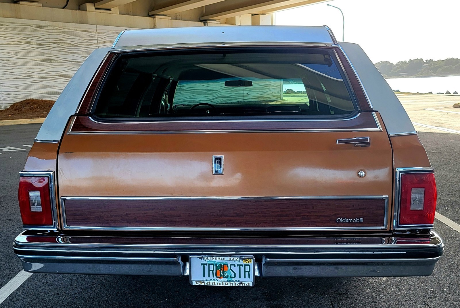 Oldsmobile-Custom-Cruiser-1978-8