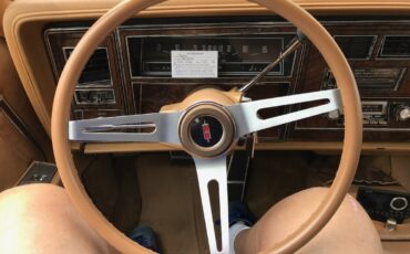 Oldsmobile-Custom-Cruiser-1978-9
