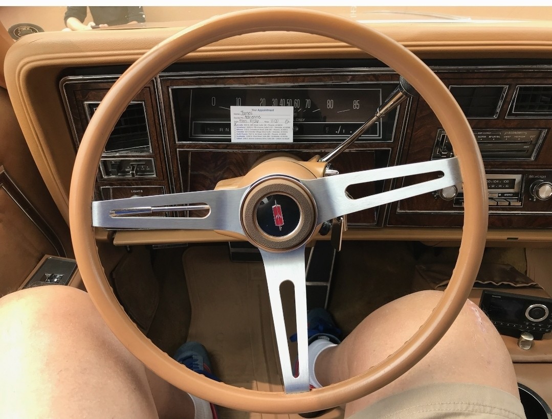 Oldsmobile-Custom-Cruiser-1978-9