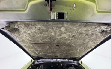 Oldsmobile-Cutlass-supreme-1971-Lime-White-25