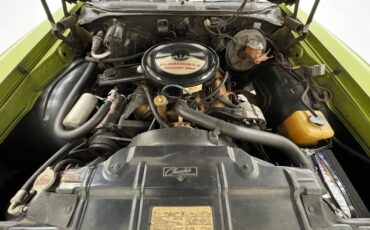 Oldsmobile-Cutlass-supreme-1971-Lime-White-27