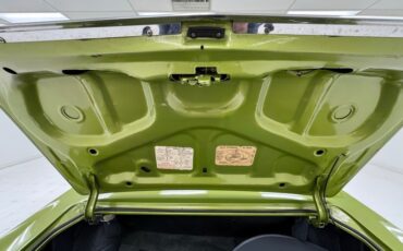 Oldsmobile-Cutlass-supreme-1971-Lime-White-49