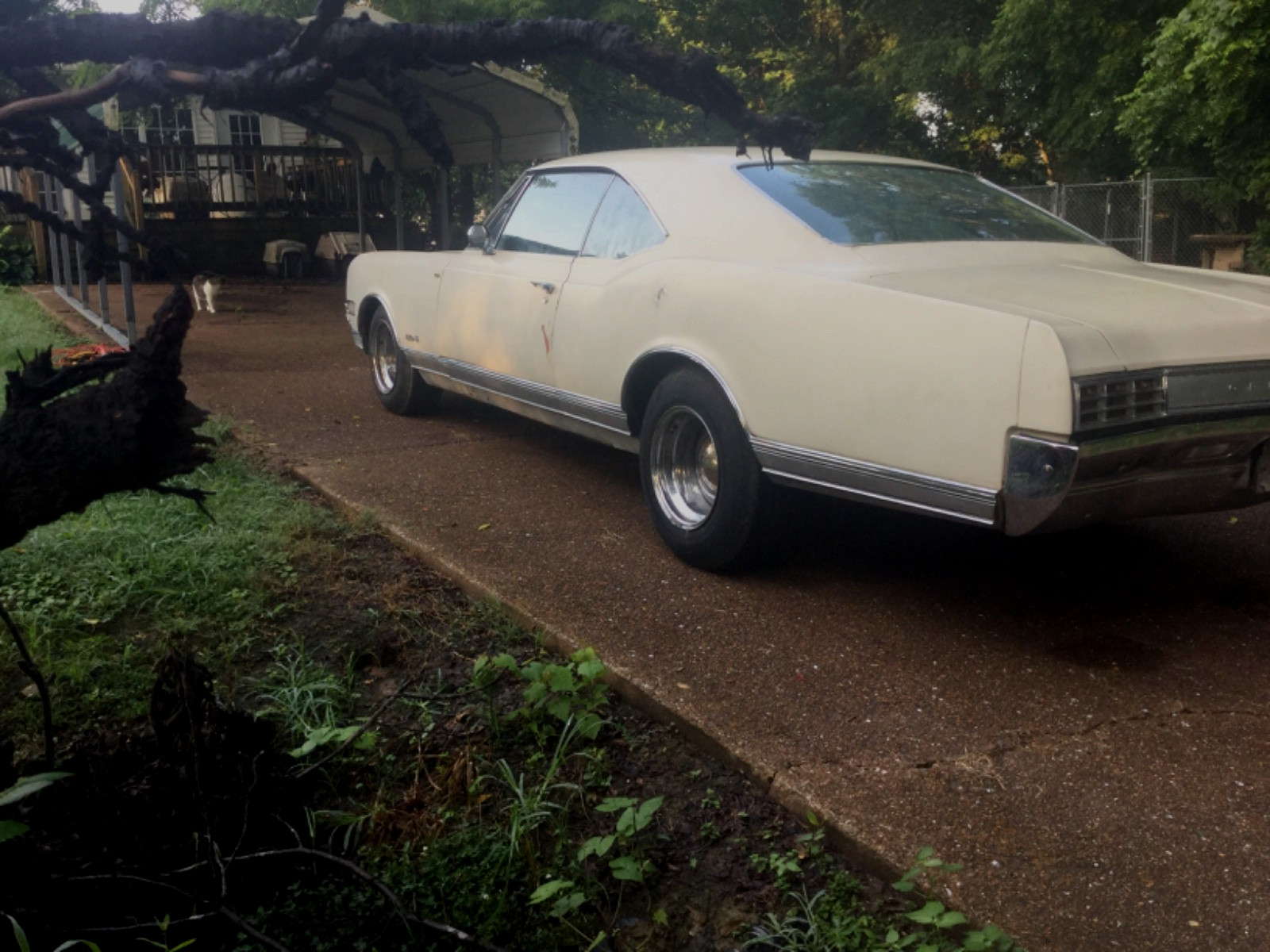 Oldsmobile-Delta-88-Holiday-Coupe-1966-Coupe-2