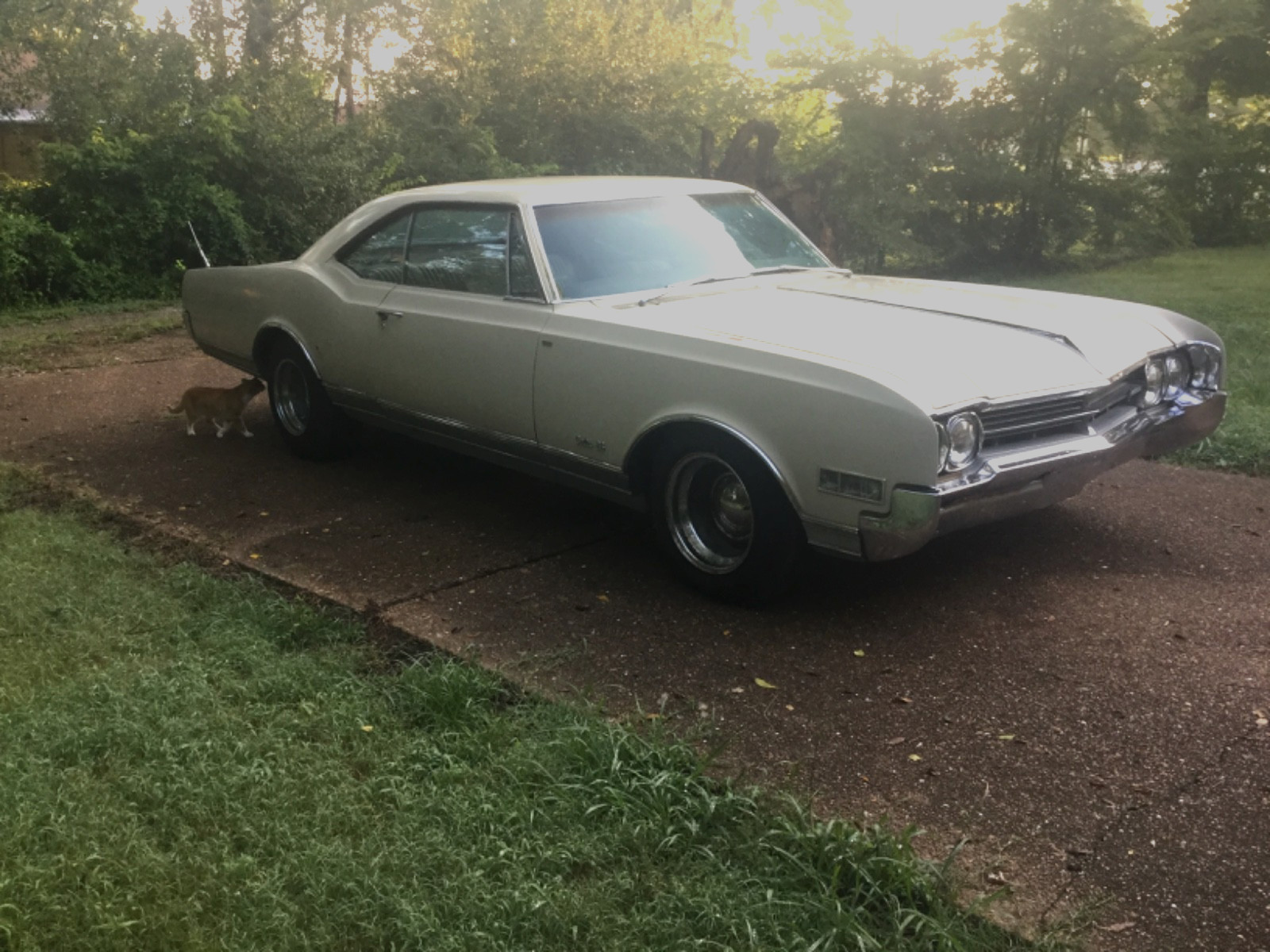 Oldsmobile-Delta-88-Holiday-Coupe-1966-Coupe-4