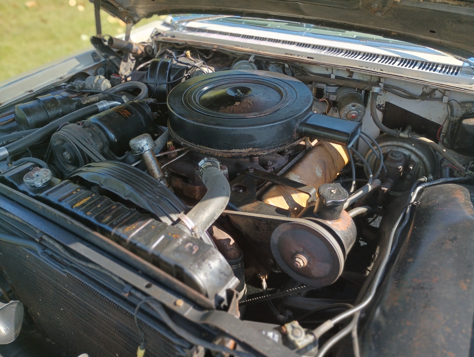 Oldsmobile-Dynamic-88-1960-Sedan-19
