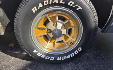 Oldsmobile-Hurst-1979-White-Gold-12