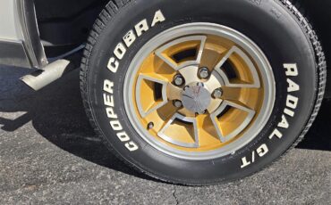 Oldsmobile-Hurst-1979-White-Gold-13