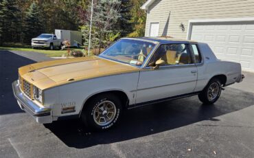 Oldsmobile-Hurst-1979-White-Gold-15