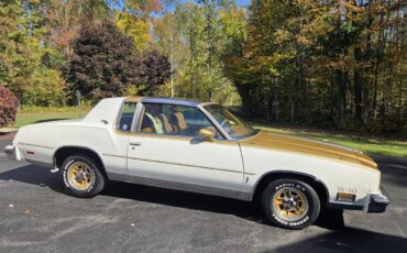 Oldsmobile-Hurst-1979-White-Gold-17