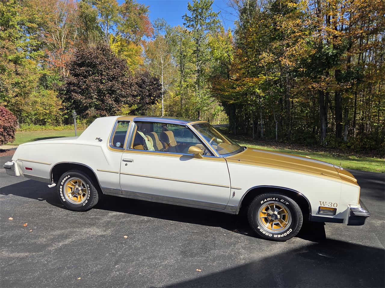 Oldsmobile-Hurst-1979-White-Gold-17