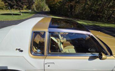 Oldsmobile-Hurst-1979-White-Gold-18