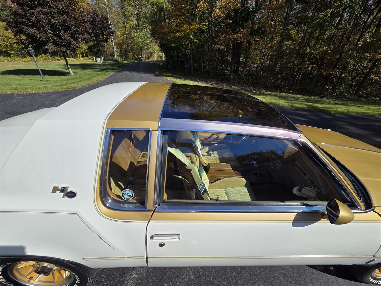Oldsmobile-Hurst-1979-White-Gold-18