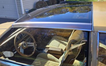 Oldsmobile-Hurst-1979-White-Gold-24