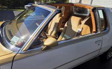 Oldsmobile-Hurst-1979-White-Gold-25