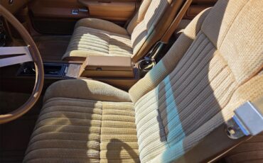 Oldsmobile-Hurst-1979-White-Gold-29