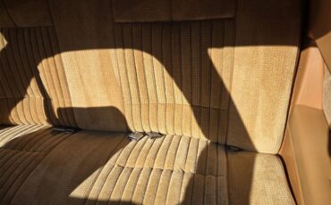 Oldsmobile-Hurst-1979-White-Gold-31