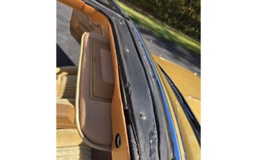 Oldsmobile-Hurst-1979-White-Gold-34