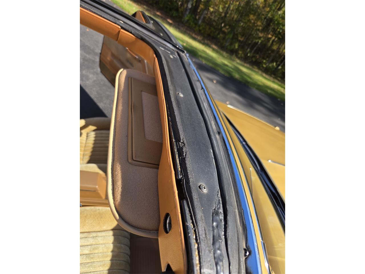 Oldsmobile-Hurst-1979-White-Gold-34