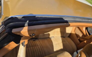 Oldsmobile-Hurst-1979-White-Gold-35