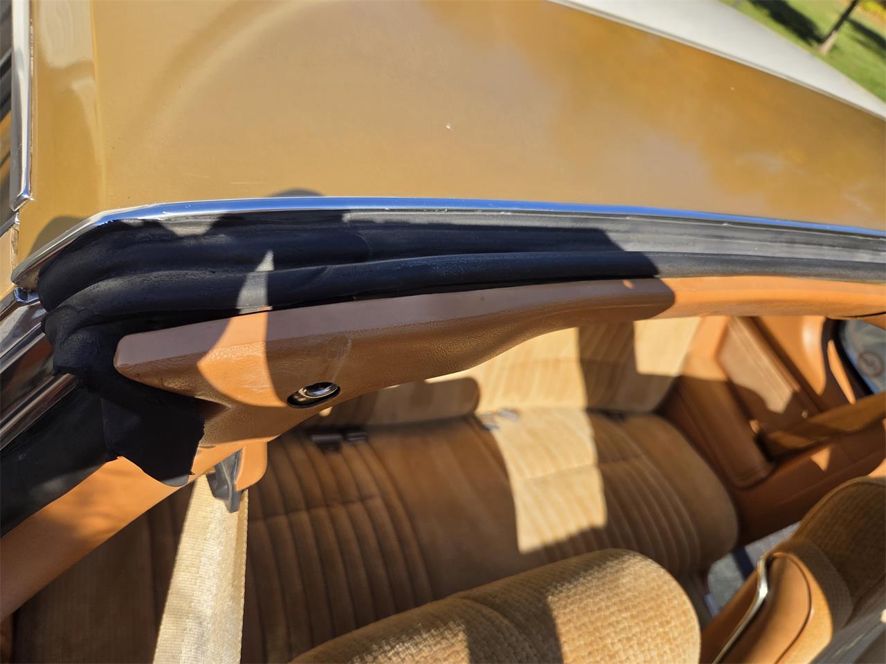 Oldsmobile-Hurst-1979-White-Gold-35