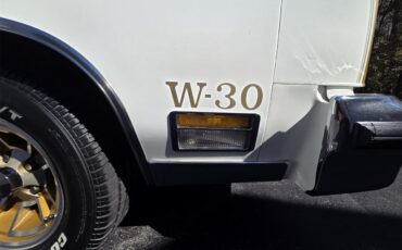 Oldsmobile-Hurst-1979-White-Gold-64