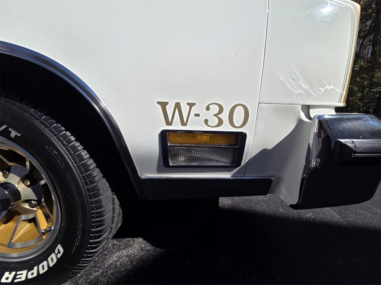 Oldsmobile-Hurst-1979-White-Gold-64