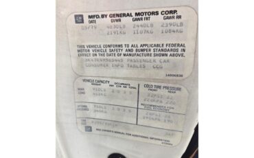 Oldsmobile-Hurst-1979-White-Gold-68