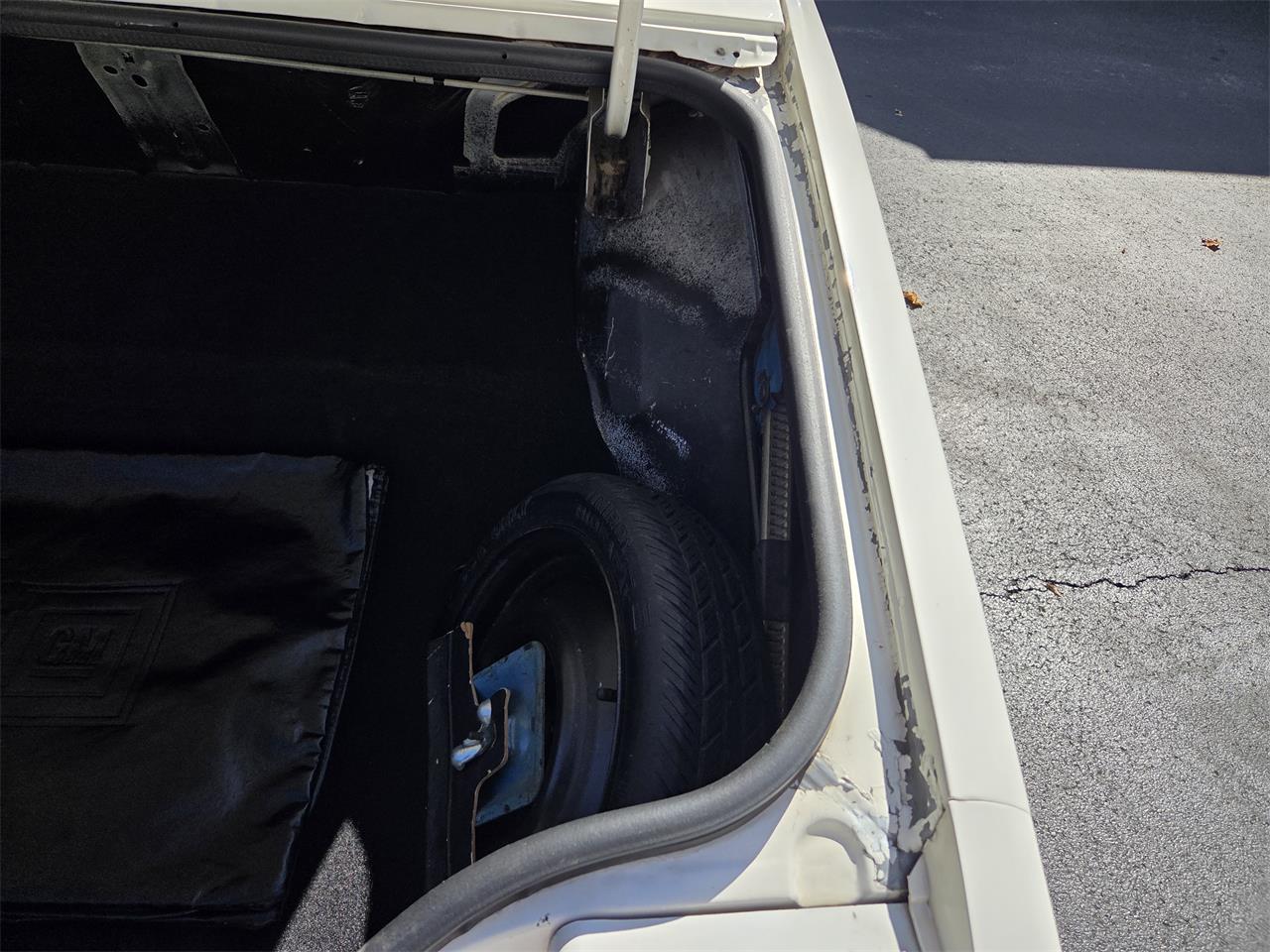 Oldsmobile-Hurst-1979-White-Gold-69