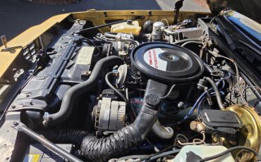 Oldsmobile-Hurst-1979-White-Gold-70