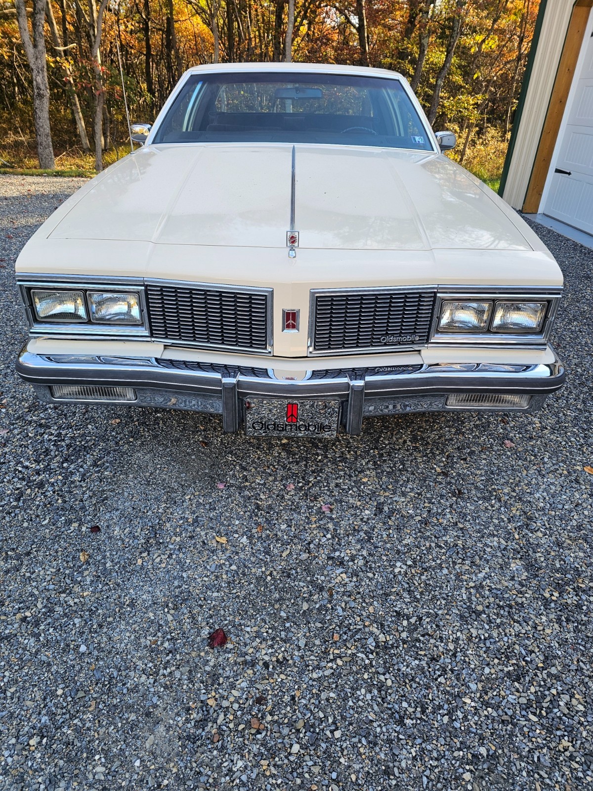 Oldsmobile-Ninety-Eight-1984-Coupe-14