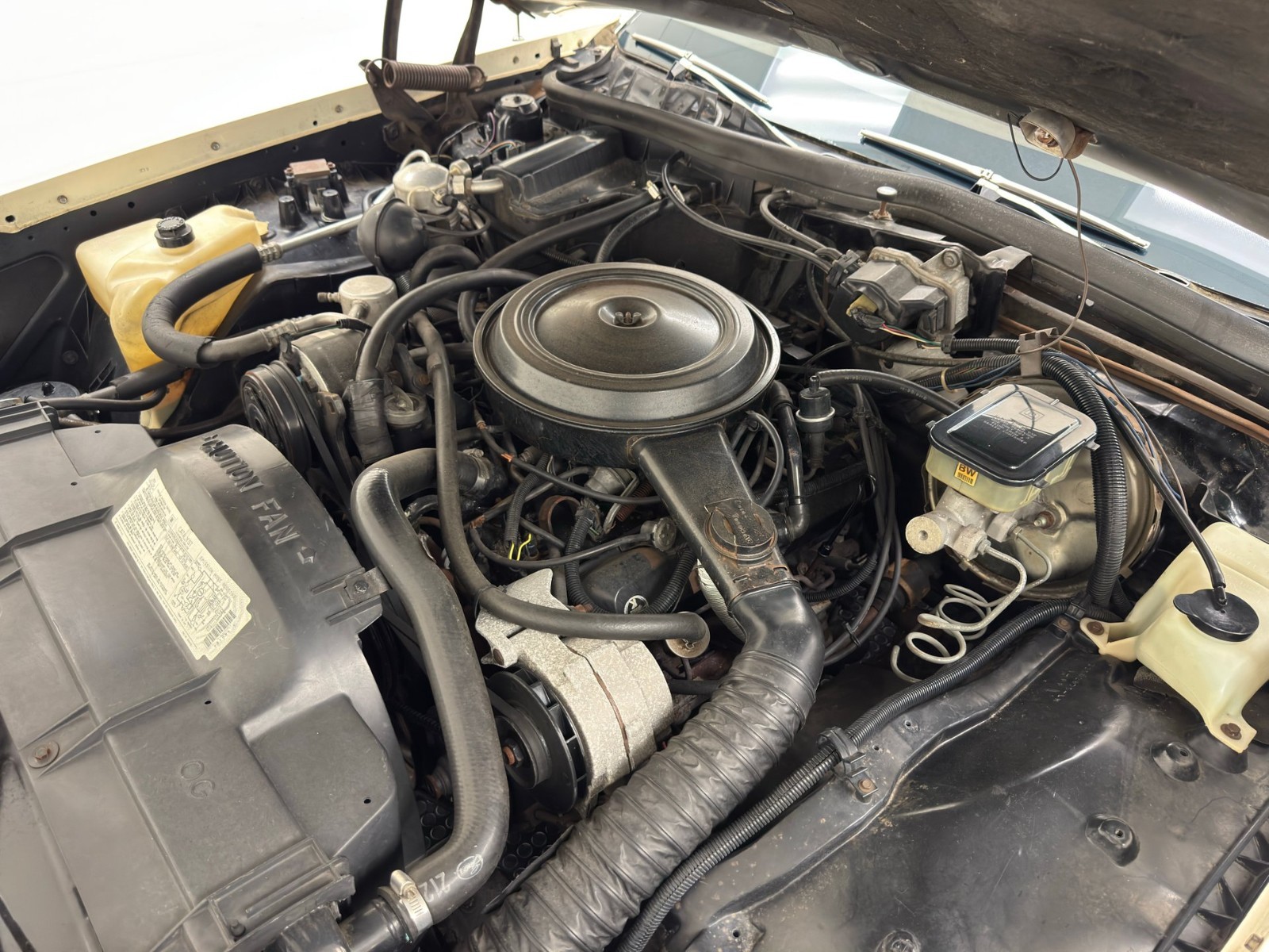 Oldsmobile-Ninety-Eight-1984-Coupe-15