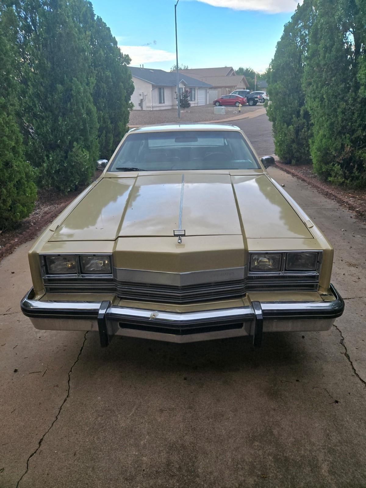 Oldsmobile-Toronado-1984-Coupe-4