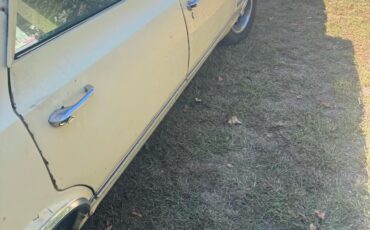 Oldsmobile-Vista-Cruiser-1965-3