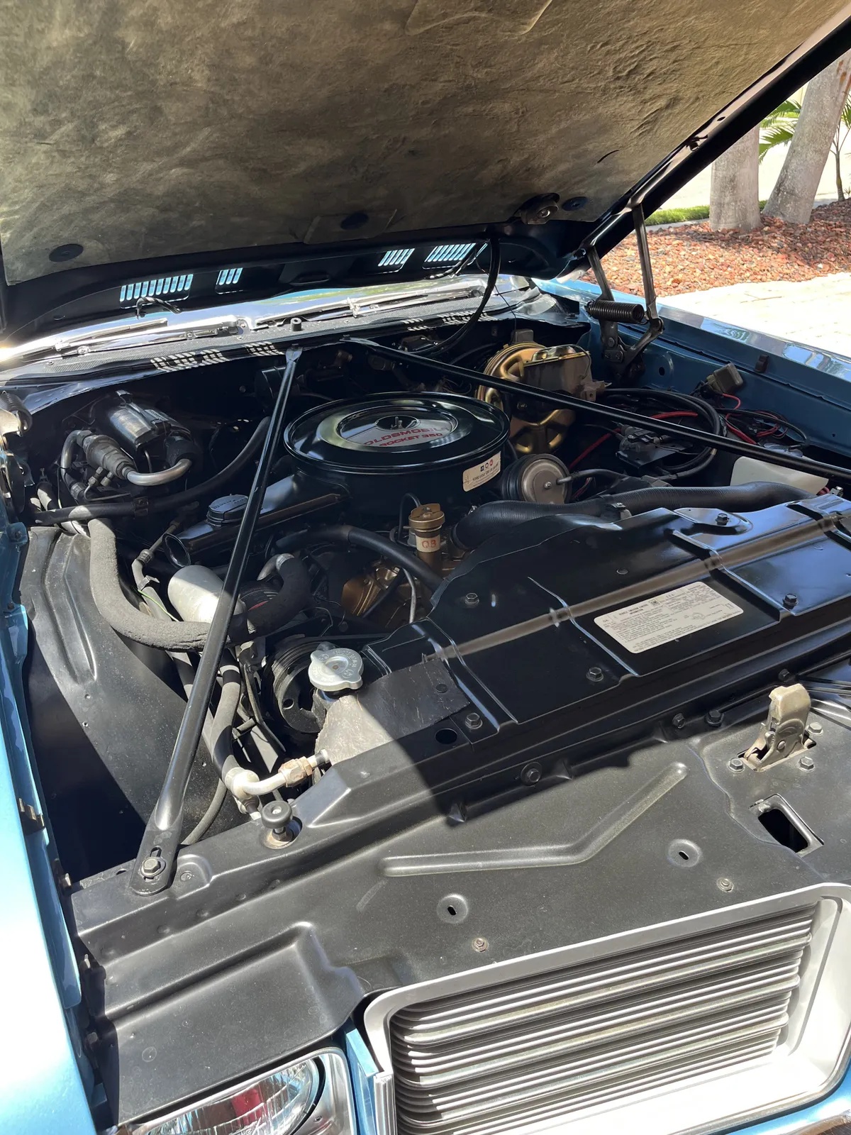 Oldsmobile-Vista-cruiser-1971-Blue-Blue-14