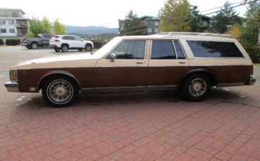 Oldsmobile-custom-cruiser-wagon-1990-12
