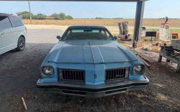 Oldsmobile-cutlass-supreme-1975-3