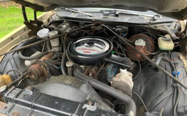 Oldsmobile-cutlass-supreme-1977-20