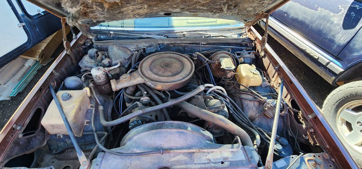 Oldsmobile-cutlass-supreme-1978-3