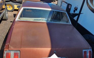 Oldsmobile-cutlass-supreme-1978-7