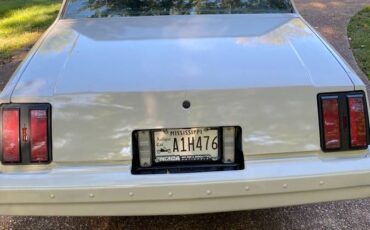 Oldsmobile-cutlass-supreme-1978-grey-3