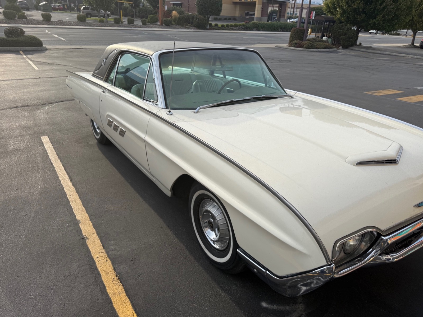 Other-Makes-Princess-of-Monaco-1963-Coupe-3