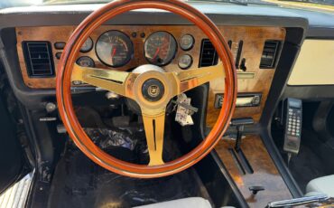 Other-Makes-Zimmer-Golden-Spirit-1985-Coupe-10