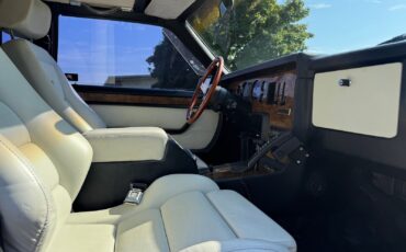 Other-Makes-Zimmer-Golden-Spirit-1985-Coupe-11