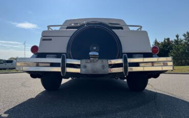 Other-Makes-Zimmer-Golden-Spirit-1985-Coupe-30