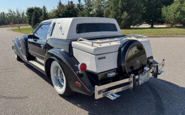 Other-Makes-Zimmer-Golden-Spirit-1985-Coupe-5