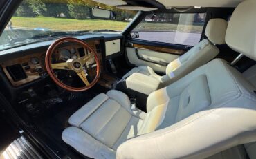 Other-Makes-Zimmer-Golden-Spirit-1985-Coupe-9